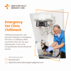 Premier Emergency Vet Clinic in Chilliwack

Experience exceptional emergency veterinary care at Abbotsford Vet Emergency's clinic in Chilliwack. Our skilled team of veterinarians and compassionate staff is dedicated to providing prompt and comprehensive care for your pets during critical situations. With state-of-the-art facilities, we are equipped to handle various emergencies. Trust our expertise and commitment to deliver the highest quality of care for your beloved companions.