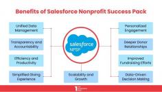 Check out the benefits of Salesforce NPSP and know hoe you can transform your Nonprofit organization