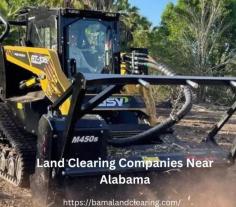 Find The Best Land Clearing Companies Near Alabama

If you're looking for the best land clearing companies in Alabama, you've come to the right place. These companies specialize in clearing land for construction, agriculture, or any other purpose. They use state-of-the-art equipment and techniques to ensure that your land is cleared efficiently and safely.