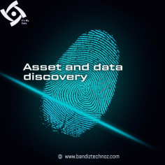 First of all, Data and Asset Discovery represent the central focus of our efforts to make operations more systematized because this involves all digital assets' identification, registration, as well as understanding of all data repositories that are spread across the infrastructure of our whole organization. Whether it's cutting-edge software solutions, innovative hardware devices, or invaluable data repositories, Bandiztechnoz enterprises recognize the significance of gaining comprehensive visibility into their digital infrastructure for several compelling reason.