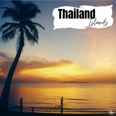 Discover the allure of Thailand's islands, where azure waters lap against pristine beaches fringed with swaying palms. From the bustling shores of Phuket to the tranquil retreat of Koh Phi Phi, each island offers a unique blend of culture, adventure, and natural beauty, making them the perfect escape for sun-seekers and adventurers alike.
Read More: https://wanderon.in/blogs/islands-in-thailand

