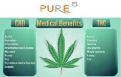 Cannabis extraction is the process of isolating cannabinoids like CBD and THC from the plant. Through methods like CO2 extraction or solvent-based techniques, cannabinoids are separated from the plant material. This yields potent oils or concentrates used in various products, from edibles to medicinal remedies.

Visit: https://pure5extraction.com