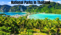 Thailand's national parks encompass a diverse range of ecosystems, from the lush rainforests of Khao Sok to the marine wonders of Mu Ko Ang Thong. With opportunities for hiking, wildlife observation, and awe-inspiring scenery, these protected areas offer immersive experiences in nature at its finest.
Read More: https://wanderon.in/blogs/national-parks-in-thailand