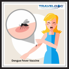 The Dengue Fever Vaccine QDENGA is now available for use in the UK and can be recommended for suitable patients travelling to areas of the world where you may find the disease.

You can check your risk at Travel Health Pro by navigating to your destination country. If you check out the “Other Risks” tab Dengue Fever will be listed if it is present in that country.

Know more: https://www.travel-doc.com/