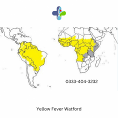 Yellow fever describes the symptoms people get when they are affected by the Yellow Fever i.e their eyes become yellow (jaundiced) and they develop a high fever. The disease is caused by a virus which is transmitted to people after they are bitten by an infected mosquito. 

See more: https://www.privatemedical.clinic/yellowfever-vaccination-clinic
