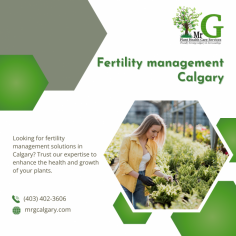 Innovative fertility management approaches in Calgary.

Enhance your garden's productivity with Mr G. Plant Health Care Services' Fertility Management Calgary. We offer expert soil and fertility assessments to optimize plant health and maximize growth in Calgary gardens.