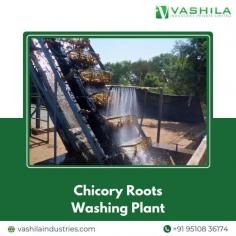 Chicory Roots Washing Plant at #vashilaindustriesWe wash the #chicory roots very well to make it clean and hygiene.

For more details Visit- https://vashilaindustries.com/chicory/

#vashilaindustries #chicoryexport #chicory india #support #farmers #poteto #vegitables #inportexport #agro #trading #apmc #chicory #chicoryproducts #agriculturalproducts
