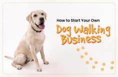 In a world where pets are cherished members of the family, the demand for reliable and caring dog walking services continues to rise

https://www.ourbusinessladder.com/how-to-start-your-own-dog-walking-business/