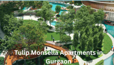 Tulip Monsella Residential Apartments situated at sector 53 provides luxury apartments to the residents. The apartments are available in 3 BHK, 4 BHK, and 5 BHK classes. Tulip Mondonlla is a newly launched project and is currently under construction. The project is expected to be completed by December 2030.

