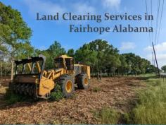 Searching for reliable Land Clearing Contractors in Fairhope, Alabama? Look no further than Land Clearing Services Fairhope Alabama. Our skilled team utilizes advanced equipment and techniques to deliver precise and efficient clearing services. Get started on your project—contact us now.