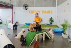Chevy Paws Doggy Day Care is the right place for you if you are looking for the Best service for Saturday Doggy Day Care in Caringbah. Visit them for more information. https://maps.app.goo.gl/Ee9vaQ4LeAyPUpQg6
