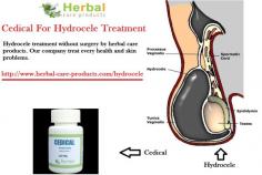 It is not dangerous and treated only when they cause pain and when they decrease the blood supply to the penis. Some of the Natural Remedies for Hydrocele and herbs for Hydrocele are effective to reduce the swelling in your scrotum. Following are some Herbal Treatment for Hydrocele.