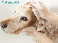 Dog Grooming Services at Best Price in Pune

Discover Top Mr n Mrs Pet dog grooming in Pune Spoil your shaggy pets with professional grooming customized to their variety and needs. From showers and hair styles to nail trimming and styling, ensure your dog looks and feels their best. Trust experienced custodians in Pune to give gentle consideration and quality assistance for your cherished pet.

Visit Here: https://www.mrnmrspet.com/dog-grooming-in-pune


