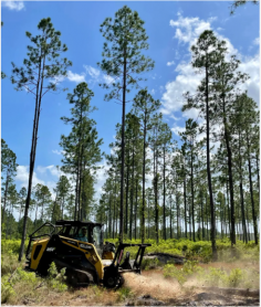 Forestry Mulching Pros offers reliable and eco-friendly land clearing services in Spruce Pine, Alabama. Using state-of-the-art mulching equipment, we provide efficient solutions for all your land management needs. Learn more about our services on our website.

https://forestrymulchingpros.com/ 
