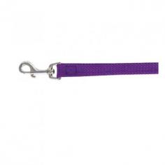 Enhance your dog's walks with the Beau Pets Single Nylon Lead in Purple. Available at VetSupply, your trusted source for premium pet accessories. Shop Now!
