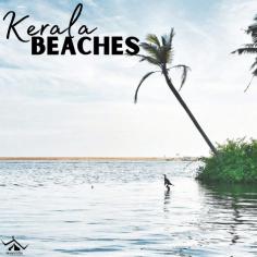Discover Kerala's pristine beaches, where golden sands meet the azure waters of the Arabian Sea, offering a tranquil retreat for sun-seekers and nature lovers alike. From the palm-fringed shores of Kovalam to the secluded coves of Varkala, each beach invites you to unwind, rejuvenate, and soak in the natural beauty of God's Own Country.
Read More: https://wanderon.in/blogs/beaches-in-kerala