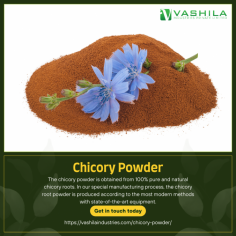 The chicory powder is obtained from 100% pure and natural chicory roots. In our special manufacturing process, the chicory root powder is produced according to the most modern methods with state-of-the-art equipment.

For More Details : https://vashilaindustries.com/chicory-powder/

#chicory #chicorée #legumes #vegetables #gardenofthegods #foodblogger #roastedchicory #chicorypowder #chicorycoffee #healthyfood #usaexporters