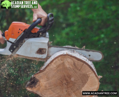 Lacombe Tree Removal | Acadian Tree and Stump Removal Service

We make sure to remove trees, considering homeowners' health concerns safely. We also carefully assess the surrounding environment before starting the removal process. Our experts meticulously perform each step and ensure every detail is noticed when removing the problematic tree from your area. If you need additional information about our  Lacombe Tree Removal, please get in touch with us at (985) 285-9827.

