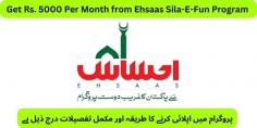 Ehsaas Sila E Fun program gives Rs.5,000 stipend to all of the older artists of Pakistan. Read this article to learn more about this program. https://ehsaasprograme8171.pk/ehsaas-sila-e-fun-program/