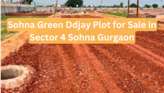 The Sohna green plot for sale in south Gurgaon is more than just a plot to build a house on; it is a strategic investment in an area that is on the cusp of rapid growth. The ongoing infrastructure development and the growing demand for residential property in Gurgaon make this plot a valuable real estate asset.
