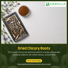 The roots of chicory are dried and used for a variety of purposes, including medicine, the coffee industry, and pet food.

For More Details : https://vashilaindustries.com/dried-chicory-roots/

#driedchicory #chicoryroots #chicoryproducts #healthy #food #information #services #regarding #products #exportindustry #vashilaindustries #chicoryexport #chicoryindia #importexport #agro #chicory #agriculturalproducts