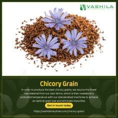 In order to produce the best chicory grains, we source the finest raw material from our own farms, which is then roasted at a controlled temperature with our standardized machines to achieve an optimal grain size and eliminate impurities.

For More Details : https://vashilaindustries.com/chicory-grain/

#chocorygrains #grains #chicory #chicorée #legumes #vegetables #gardenofthegods #foodblogger #roastedchicory #chicorypowder #chicorycoffee #healthyfood #usaexporters