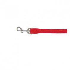 Upgrade your dog's walks with the Beau Pets Single Nylon Lead in Red. Built for durability and style, this lead guarantees comfortable outings for your furry companion.
