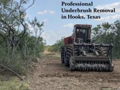 Transform your property with our Professional Underbrush Removal in Hooks, Texas. At Land Clearing Services, we specialize in clearing underbrush to make your land safe and usable. Our expert team ensures efficient and thorough removal, leaving your property looking pristine. Contact us today to schedule your underbrush removal service!