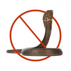 Book Snake Control in Dubai | 99 AED only | 100% Guaranteed
