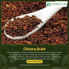 Chicory grain has a mild laxative effect and decreases swelling. Chicory is also a rich source of beta-carotene. People use chicory for liver and heart health, constipation, indigestion, high blood pressure, and many other conditions, but there is no good scientific evidence to support these uses.

For More Details : https://vashilaindustries.com/chicory-grain/

#chocorygrains #grains #chicory #chicorée #legumes #vegetables #gardenofthegods #foodblogger #roastedchicory #chicorypowder #chicorycoffee #healthyfood #usaexporters