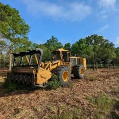 Need Fort Worth Texas Land Clearing Services in Walnut Springs, Texas? Our professional team specializes in safe and effective land clearing, ensuring your property is prepared for any project. Contact us today for a consultation, and let us handle your land clearing needs!