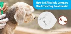 Here are the key factors involved in flea and tick treatment comparison and knowing in depth about their ingredients can help you pick the best product for your four-legged buddy.
