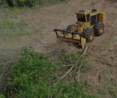 Searching for forestry mulching services in Morgan, Texas? Our professional team specializes in fast, eco-friendly land clearing to help you manage overgrown properties and enhance your land's usability. With state-of-the-art equipment and experienced operators, we ensure high-quality results tailored to your needs. Contact us today to get started!