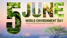 Celebrate World Environment Day! 