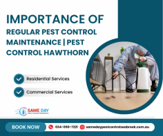 The Importance of Regular Pest Control Maintenance. Regular pest control isn't just about dealing with infestations; it's about preventing them. Office environments, in particular, can be breeding grounds for pests if not regularly maintained. Our Same Day Pest Control services ensure your workspace remains clean and pest-free. Visit Samedaypestcontrolhawthorn.com.au to know more.