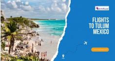 Dreaming of white sandy beaches and turquoise waters? Book your flights to Tulum now for an unforgettable escape. With options for every budget, you'll find the best routes and prices here. Discover the magic of Tulum's ancient ruins and vibrant culture. 