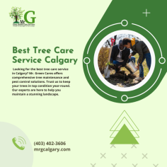 Experience the Best Tree Care Service Calgary has to offer at Mr. G Calgary.

Experience the Best Tree Care Service Calgary with Mr. G Calgary's expert tree maintenance and treatment programs. Our services ensure your trees are in prime condition year-round, enhancing your property's aesthetic and value.