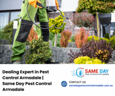 Are you dealing with pesky pests in Armadale? Look no further! Our team at Same Day Pest Control Armadale is here to help. With our expert pest control services, we can effectively rid your home or business of unwanted pests. Visit our website at https://samedaypestcontrolarmadale.com.au/ to learn more about our services and how we can assist you. Don't let pests take over your space, trust the professionals at Same Day Pest Control Armadale to provide efficient and reliable solutions. Contact us today to schedule an appointment and take the first step towards a pest-free environment.