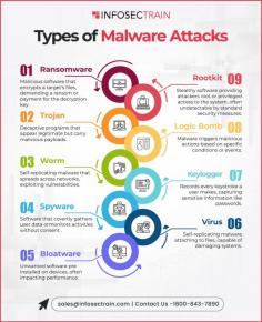 Understanding the Types of Malware Attacks: A Detailed Infographic 