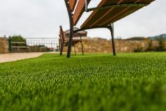 Looking for Artificial Grass Free Delivery? Check out Artificial Grass GB!

Thick turf not only improves the appearance of the lawn, but it also extends the life of high-traffic areas. Artificial grass can be utilized in play areas, terrace gardens, patios, and balconies, to name a few places. Looking for Artificial Grass Free Delivery, visit Artificial Grass GB, they host an array of chic, synthetic turf products that’ll bring a lush appeal to your lawn.