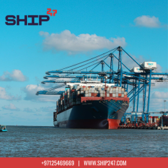 Digital Freight Shipping | Ship247

Ship247 provides customized shipping solutions for small businesses and ensures quick, reliable, and affordable delivery. Ship247 simplifies the shipping process, allowing companies to focus on growth. Customizable options, outstanding customer care, and easy interaction with e-commerce platforms all help to improve your shipping experience. For Digital Freight Shipping,  visit our website or click Register Now https://ship247.com/work-with-us-form.