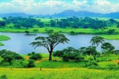 Pearl of Africa Expeditions: Explore Uganda's Natural Treasures"

Embark on a journey with Pearl of Africa Expeditions! Discover Uganda's diverse wildlife, lush landscapes, and rich culture. From safaris in national parks to cultural encounters, let us create your unforgettable Uganda adventure.