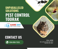 Visit https://samedaypestcontroltoorak.com.au/ to get unparalleled solutions for pest control in Toorak. Our skilled pest control experts utilize advanced techniques to banish intrusive critters, restoring the sanctity of your home sweet home.
