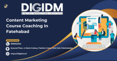 Are you looking for a Content Marketing Course in Fatehabad, Haryana? If yes then you are at the right place, In this article we will discuss the best Content Marketing institute in Fatehabad, Whether you want to reach your product or service to as many people as possible through content marketing, your top-notch solution for Content Marketing is DigiDM Digital Marketing Institute Fatehabad.