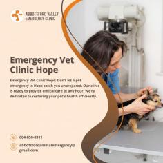 Premier Emergency Vet Clinic in Hope

Experience exceptional emergency veterinary care at Abbotsford Vet Emergency's clinic in Hope. Our skilled team of veterinarians and compassionate staff is dedicated to providing prompt and comprehensive care for your pets during critical situations. With advanced facilities and a commitment to excellence, we prioritize your pet's well-being and offer the highest standard of care in Hope.