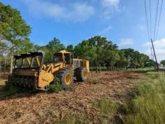 Are you looking for expert forestry mulching services in Kempner, Texas? Our professional team specializes in efficient land clearing, brush removal, and vegetation management to enhance your property's health and appearance. With top-of-the-line equipment and a commitment to excellence, we ensure your land is cleared quickly and safely. Contact us today to schedule a consultation and transform your landscape!