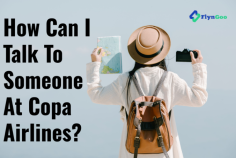 Finding answers or assistance with Copa Airlines shouldn't feel like navigating a maze. They understand the frustrations of needing to speak with a real person when it comes to your travel concerns.