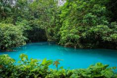 Embark on a 6 km guided hike through the Tenorio Volcano National Park on our Rio Celeste from La Fortuna, home to one of the seven natural wonders of Costa Rica, the Rio Celeste. The most famous feature of this river is its striking bright blue color, a phenomenon that you simply must see to believe.

Know more: https://riocelesteaventuras.com/tours/rio-celeste-hike-from-la-fortuna/