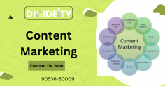 Last But Not Least, Content Marketing Grow Your Business Visibility Over The Internet. Maximum Visibility Leads More Traffic On Your Business Website. Also, With Content Marketing You Can Build A Powerful Marketing Funnel. Which Ultimately Increase The Leads, Traffic, And ROI.