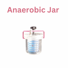 Labmate Anaerobic Jar is a 7L pump-operated chamber designed to create and maintain an oxygen-free environment for anaerobic microorganism cultivation. It features a 3/25 R petri dish holder and uses conventional O-rings and screw clamps for a secure seal. Made from PMMA material, it is lightweight and portable for easy transport.